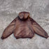 Artisanal Vintage Treatment Mocha Brown Hoodie