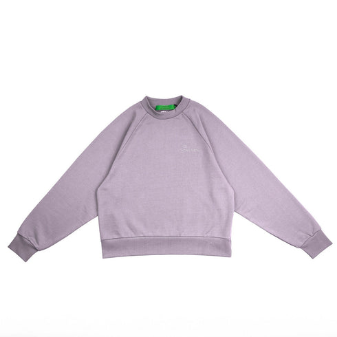 Vision Purple Raglan Crewneck Sweater