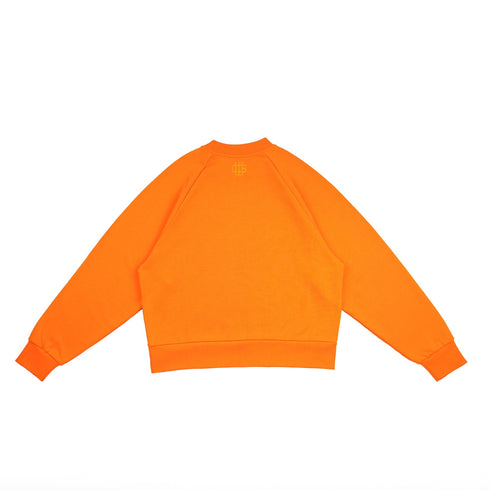 Orange Raglan Crewneck Sweater