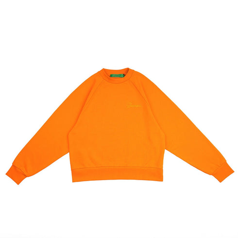 Orange Raglan Crewneck Sweater