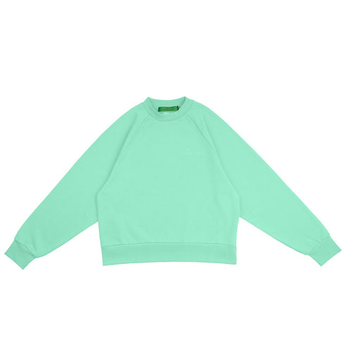 Tiffany Raglan Crewneck Sweater