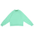 Tiffany Raglan Crewneck Sweater
